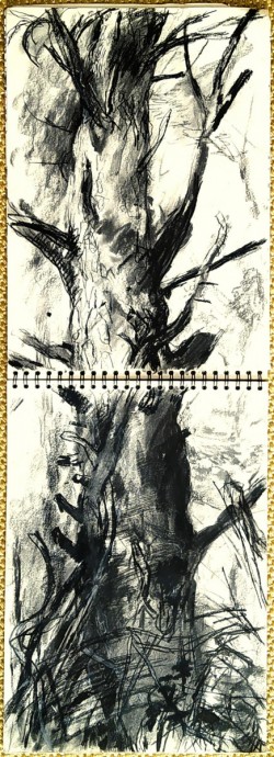 Drawing 4 Blair Thomson